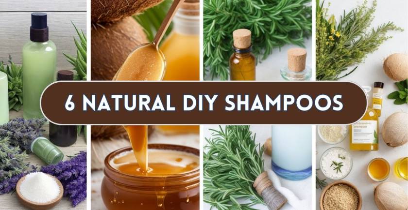 Natural DIY Shampoos